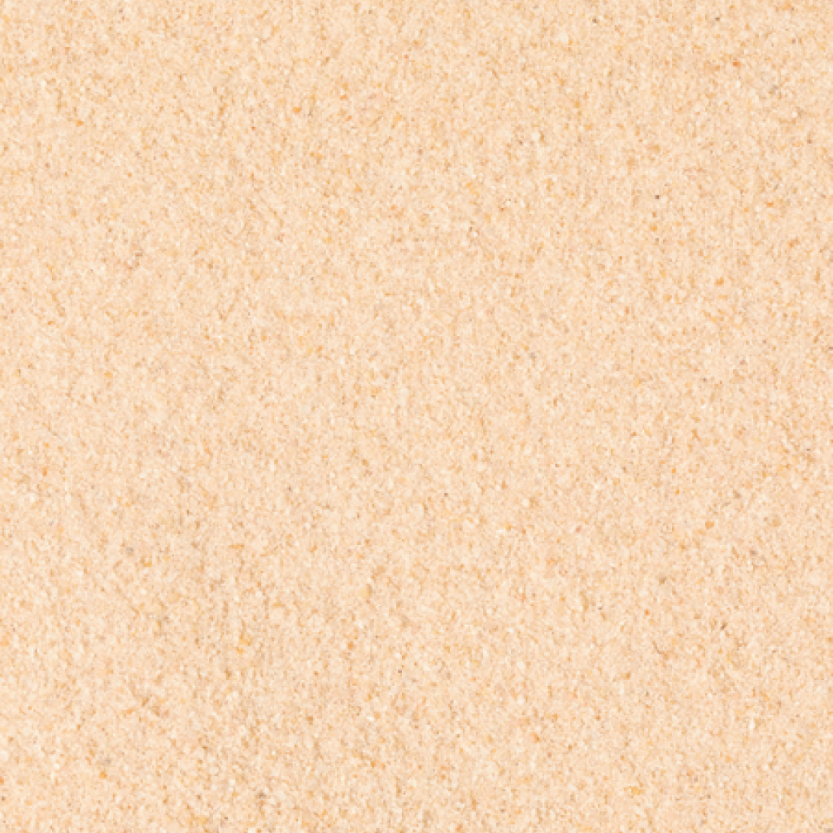 Shop Organic Grains, Pulses, Vegetables, Fruits & Superfoods