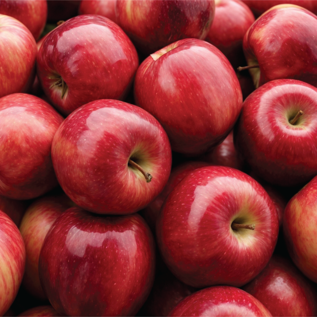 Apple ( સફરજન ) | Sattvagun Foods